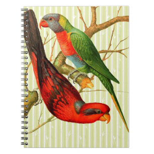 Farbenfrohe Vintage Rot-Grün-Papageien-Illustratio Notizblock