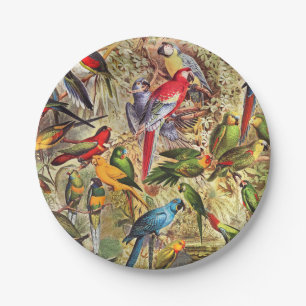 Farbenfrohe Vintage tropische Vogelparrosen Pappteller