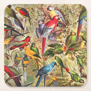 Farbenfrohe Vintage tropische Vogelparrosen Rechteckiger Pappuntersetzer