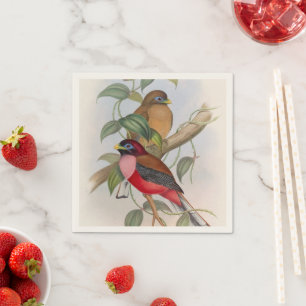 Farbenfrohe Vintage Vögel Illustration Papier Napk Serviette