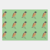 Farbenfrohe Vögel Songbird Geschenkpapier Set (Vorderseite 3)