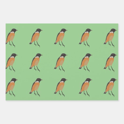 Farbenfrohe Vögel Songbird Geschenkpapier Set (Vorderseite 2)