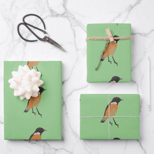 Farbenfrohe Vögel Songbird Geschenkpapier Set (Vorderseite)