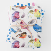 Farbenfrohe Vogelschropfpapier-Set Geschenkpapier Set (Beispiel)