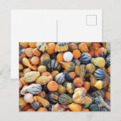 Farbenfrohe Waren A Postkarte (Vorne/Hinten)
