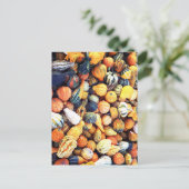 Farbenfrohe Waren C Postkarte (Stehend Vorderseite)