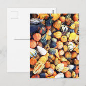 Farbenfrohe Waren C Postkarte (Vorne/Hinten)