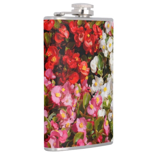 Farbenfrohe Wax Begonias Flachmann (Rechts)