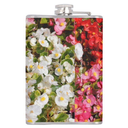 Farbenfrohe Wax Begonias Flachmann (Rückseite)