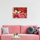 Farbenfrohe Wax Begonias Leinwanddruck (Insitu (Wohnzimmer))