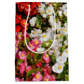 Farbenfrohe Wax Begonias Mittlere Geschenktüte (Vorderseite)