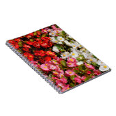 Farbenfrohe Wax Begonias Notizblock (Rechte Seite)