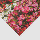 Farbenfrohe Wax Begonias Seidenpapier (Ausschnitt)