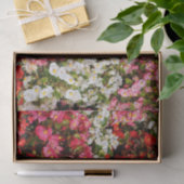 Farbenfrohe Wax Begonias Seidenpapier (Geschenk)