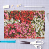 Farbenfrohe Wax Begonias Seidenpapier (Handwerk)