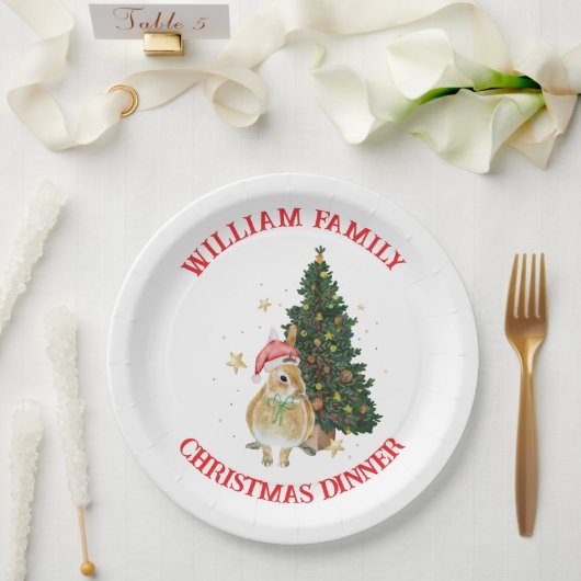 Farbenfrohe Weihnachten Text Niedlich Weihnachten Pappteller (Hochzeit)