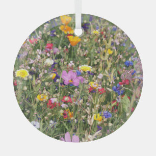 Farbenfrohe Wildblume Wiese, lebendiges Muster. Ornament Aus Glas