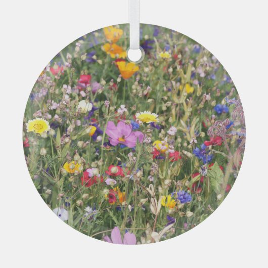 Farbenfrohe Wildblume Wiese, lebendiges Muster. Ornament Aus Glas (Vorderseite)