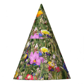 Farbenfrohe Wildblume Wiese, lebendiges Muster. Partyhütchen