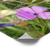 Farbenfrohe Wildblume Wiese, lebendiges Muster. Poster (Ecke)
