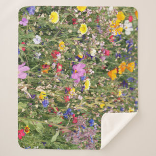 Farbenfrohe Wildblume Wiese, lebendiges Muster. Sherpadecke