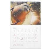 Farbenfrohe Wildnis Digitaler Pop Kalender (Mär 2026)