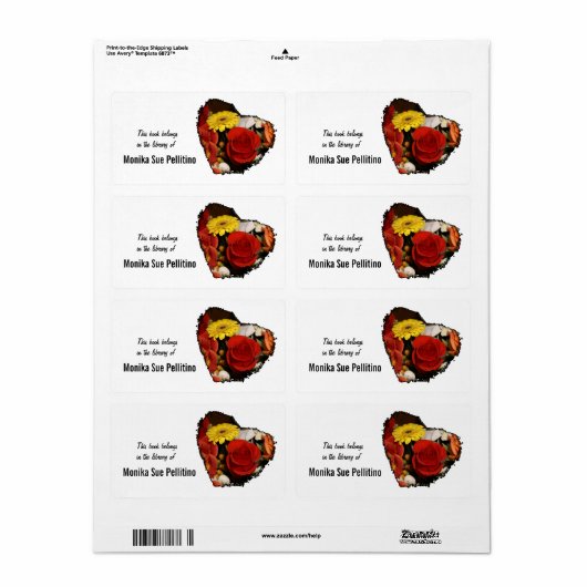 Farbenfrohe Zackenspitzen-Blume (Vorne)