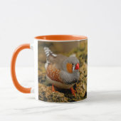 Farbenfrohe Zebra Finch Songbird auf den Felsen Tasse (Links)