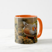 Farbenfrohe Zebra Finch Songbird auf den Felsen Tasse (VorderseiteRechts)