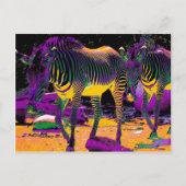 Farbenfrohe Zebras Postkarte (Vorderseite)