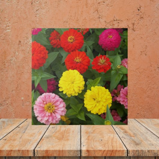 Farbenfrohe Zinnia-Blume Fliese