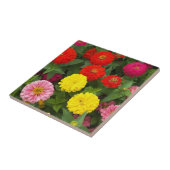 Farbenfrohe Zinnia-Blume Fliese (Seite)