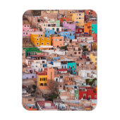 Farbenfrohe Zuhause auf dem Hügel Magnet (Vertikal)