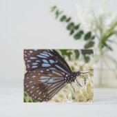 Farbenfroher Besucher Postkarte (Stehend Vorderseite)