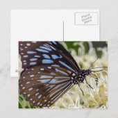 Farbenfroher Besucher Postkarte (Vorne/Hinten)