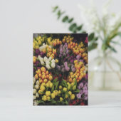 Farbenfroher Blumengarten im Blumen, stilvoll Postkarte (Stehend Vorderseite)