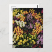 Farbenfroher Blumengarten im Blumen, stilvoll Postkarte (Vorne/Hinten)