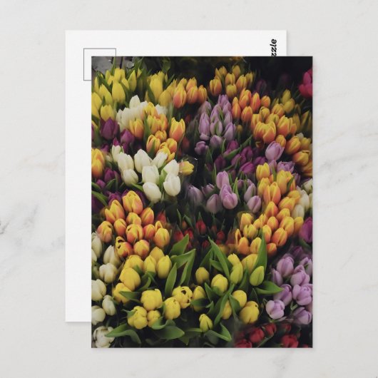 Farbenfroher Blumengarten im Blumen, stilvoll Postkarte (Vorne/Hinten)