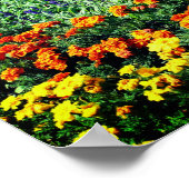 Farbenfroher Blumengarten im Sommer Poster (Ecke)