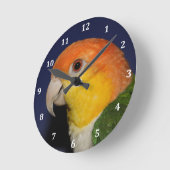 Farbenfroher Caique Parrot Runde Wanduhr (Winkel)