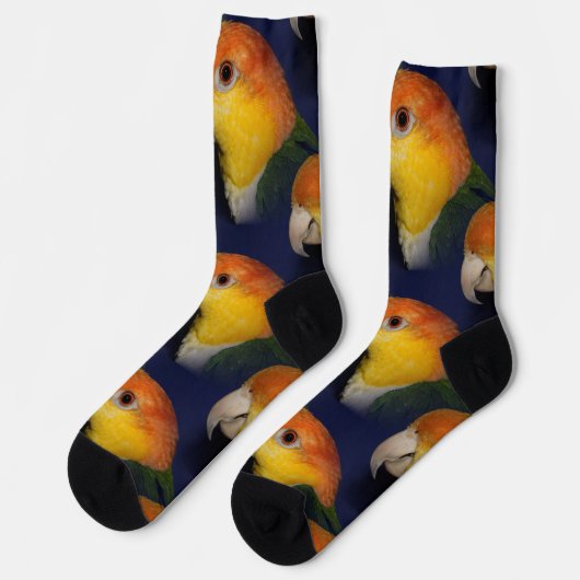 Farbenfroher Caique Parrot Socken (Linkes Detail)