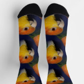 Farbenfroher Caique Parrot Socken (Oben)