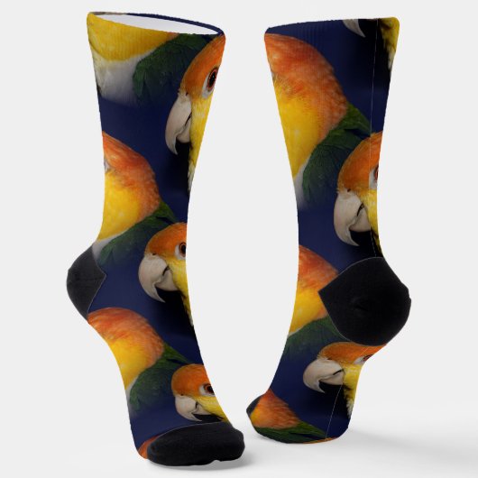 Farbenfroher Caique Parrot Socken (Gewinkelt)