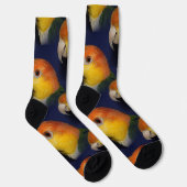 Farbenfroher Caique Parrot Socken (Rechts)