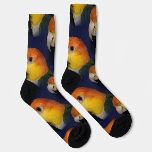 Farbenfroher Caique Parrot Socken (Rechts)