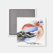 Farbenfroher Chaffinch 2011 Magnet (Vorderseite/Rückseite)