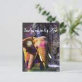 Farbenfroher Elefantenfall Postkarte (Stehend Vorderseite)