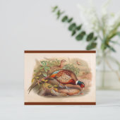 Farbenfroher Fasan Postkarte (Stehend Vorderseite)