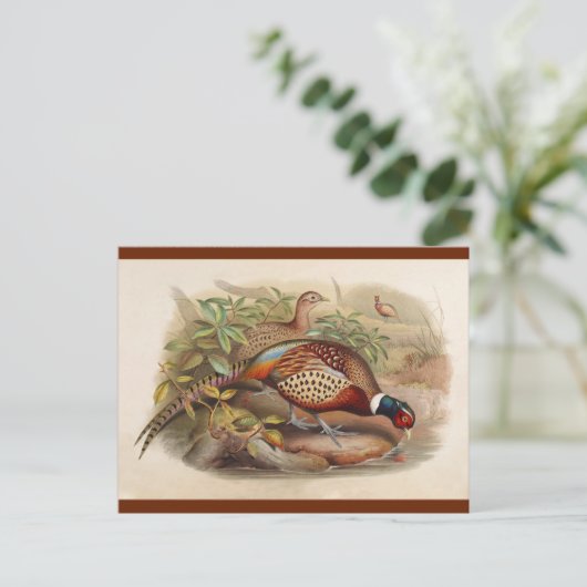 Farbenfroher Fasan Postkarte (Stehend Vorderseite)