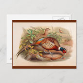 Farbenfroher Fasan Postkarte (Vorne/Hinten)